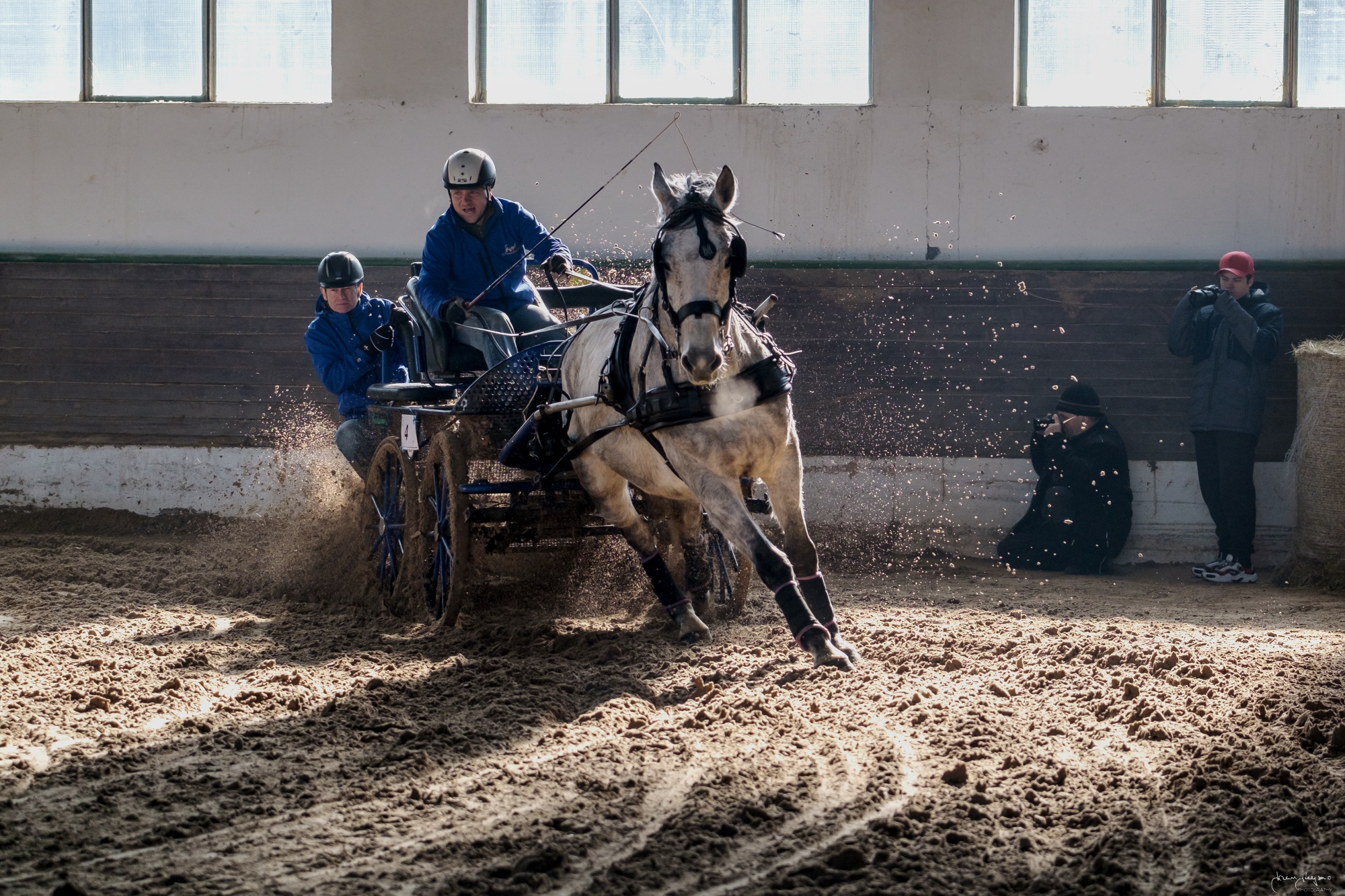 http://www.farmakotelsko.cz/images/kone/nase-kone/SAXO1.jpg